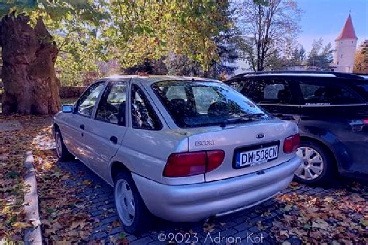 escort Rafnic
