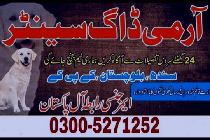 escort Rajo Khanani
