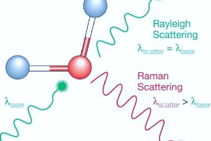 escort Raman
