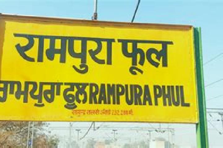 escort Rampura Phul