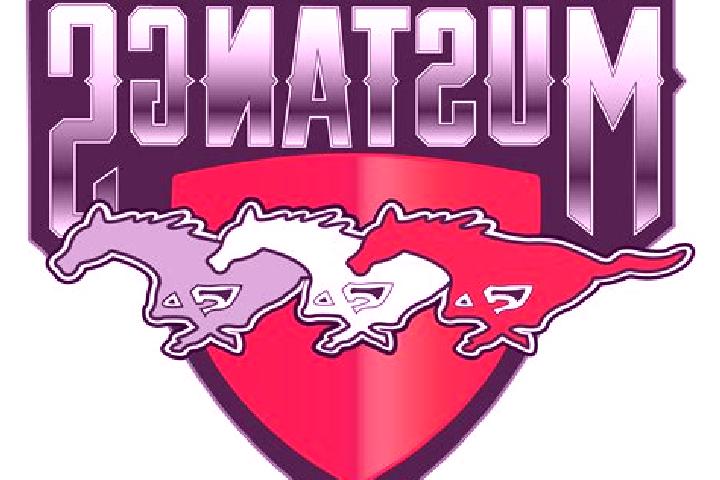 escort Rancho Verde