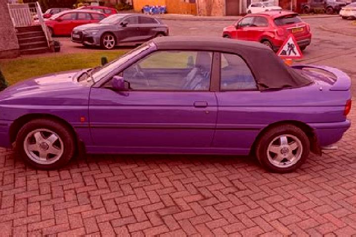 escort Raszowa