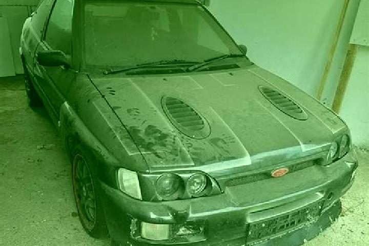 escort Rauch