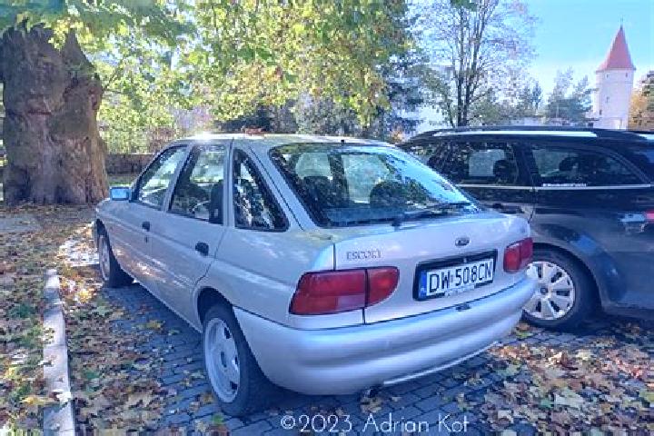 escort Rauschwitz