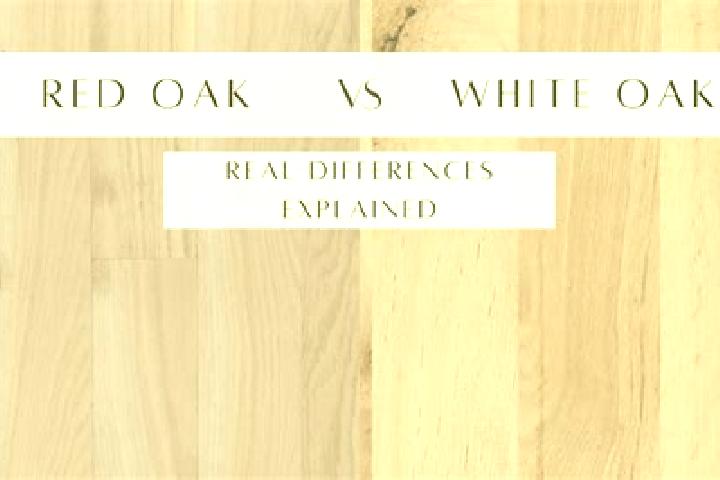escort Red Oak