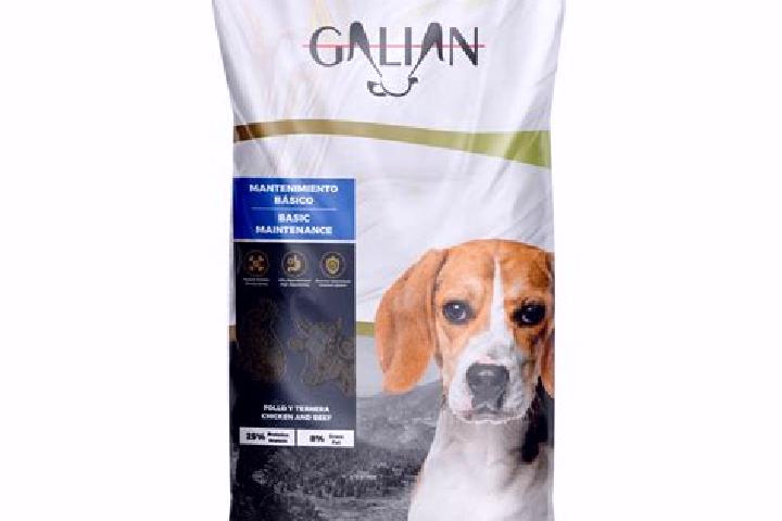 escort Rediu Galian