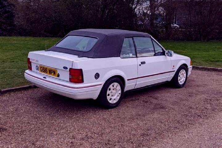 escort Reghin-Sat