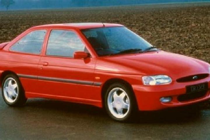 escort Reinstorf