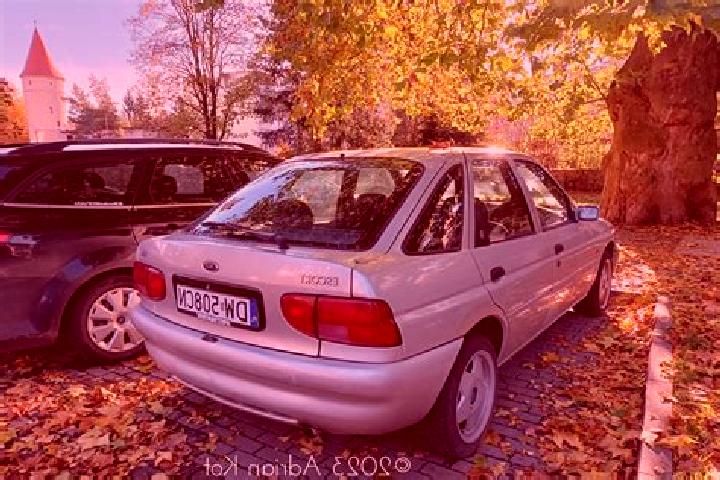 escort Rezina