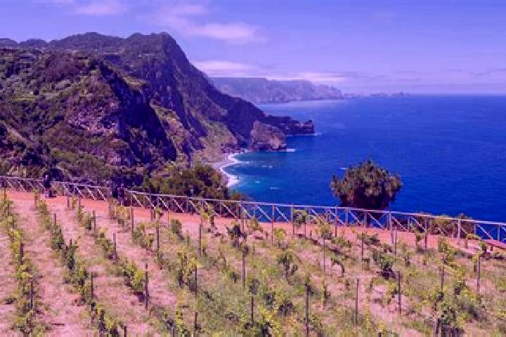 escort Ribeira da Vinha