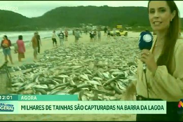 escort Ribeira das Tainhas