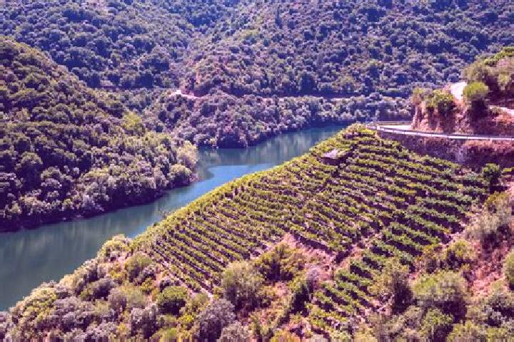 escort Ribeira de Juliao