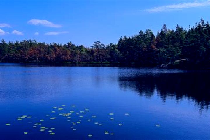 escort Rice Lake