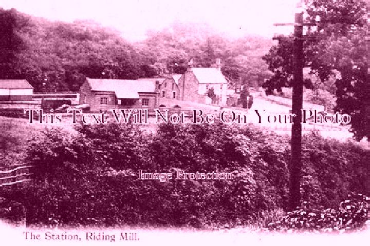 escort Riding Mill