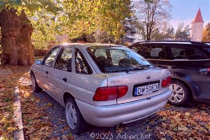 escort Riedikon