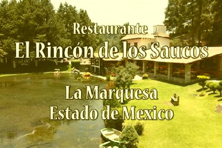 escort Rincon de los Reyes