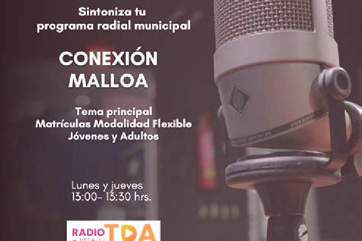 escort Rinconada de Malloa