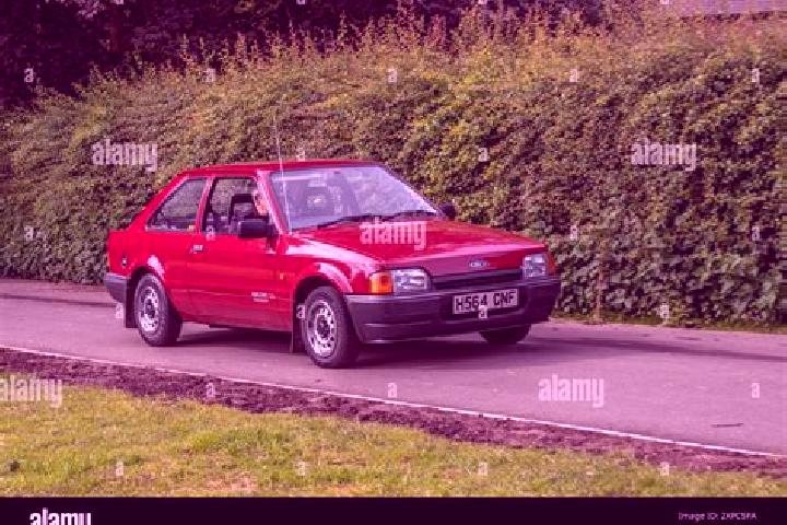 escort Ringsend