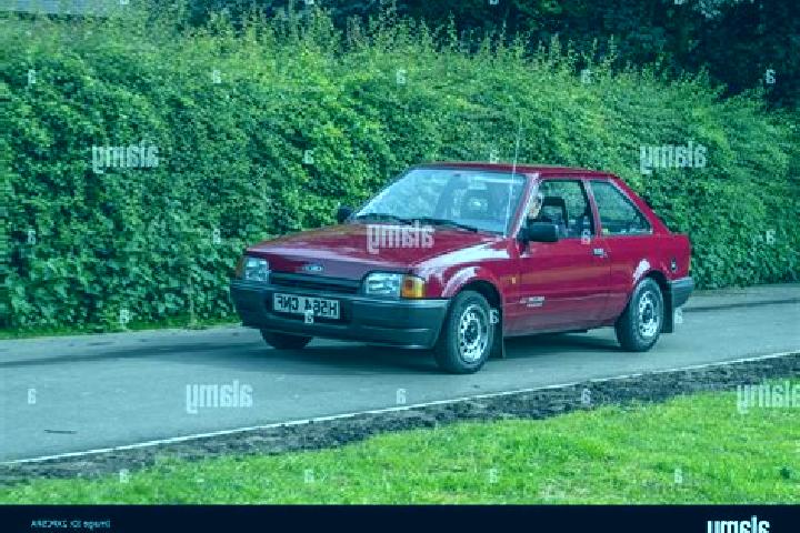 escort Ringstead