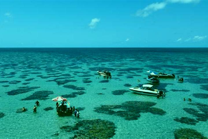 escort Rio do Fogo