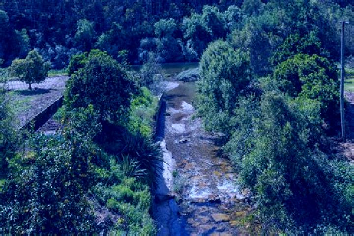 escort Rio Mau