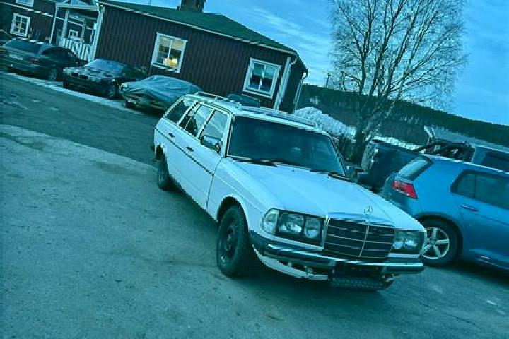 escort Risoegrund