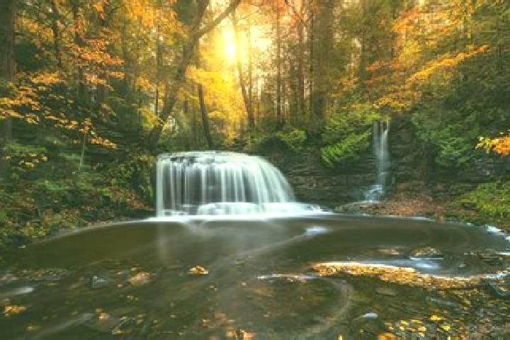 escort River Falls