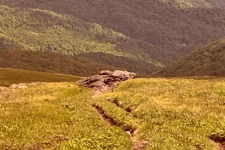 escort Roan Mountain