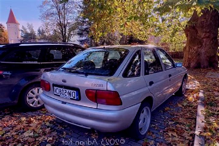 escort Rocevnica