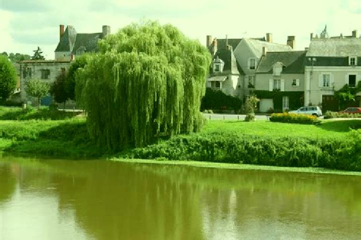 escort Rochefort-sur-Loire