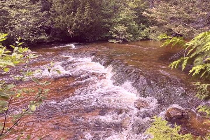 escort Rock Rapids