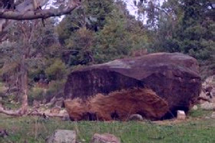 escort Rock