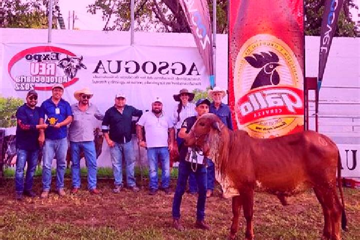 escort Rodeo Arroyo Pepesca