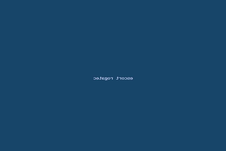 escort Rogatec