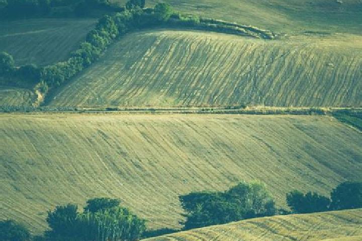 escort Rolling Fields