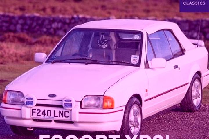 escort Rolling Fork