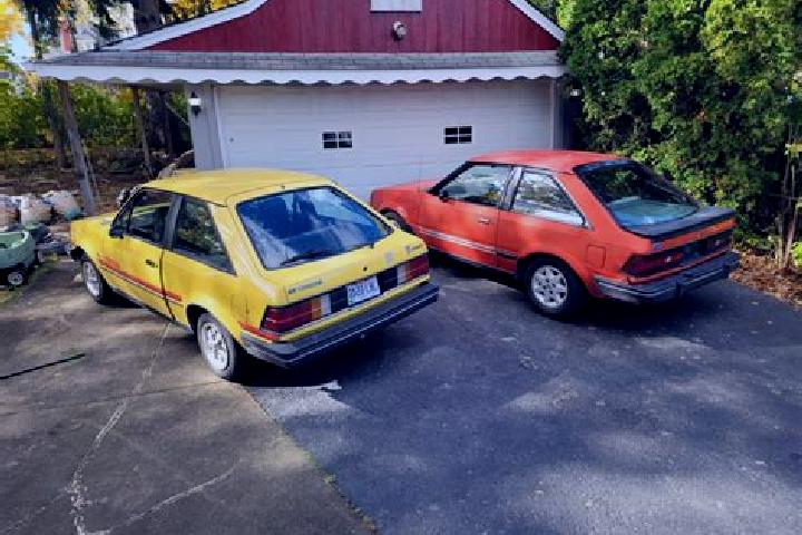 escort Rollingwood