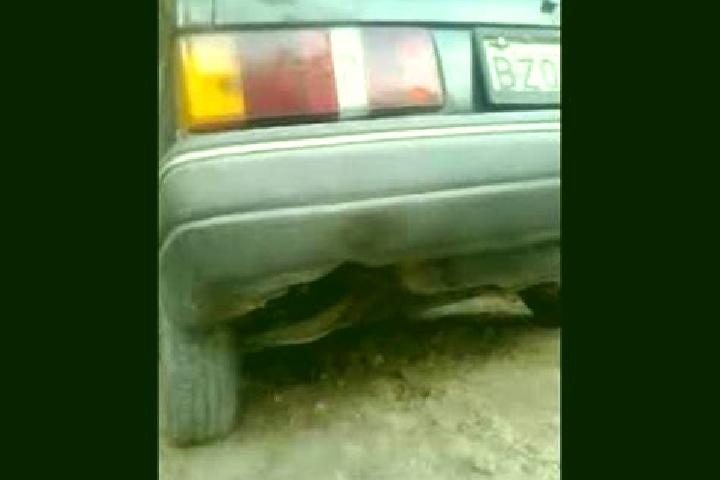 escort Ronco