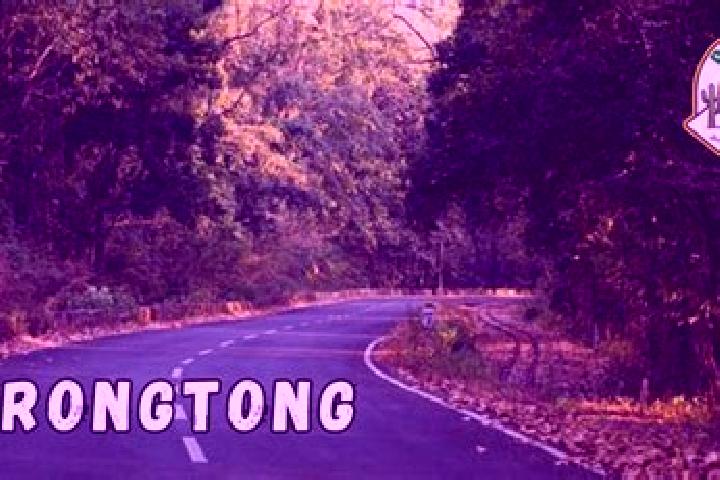 escort Rongtang