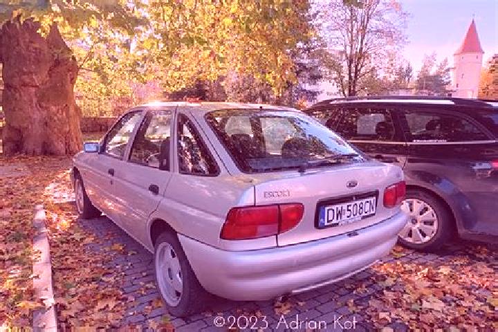 escort Ropczyce