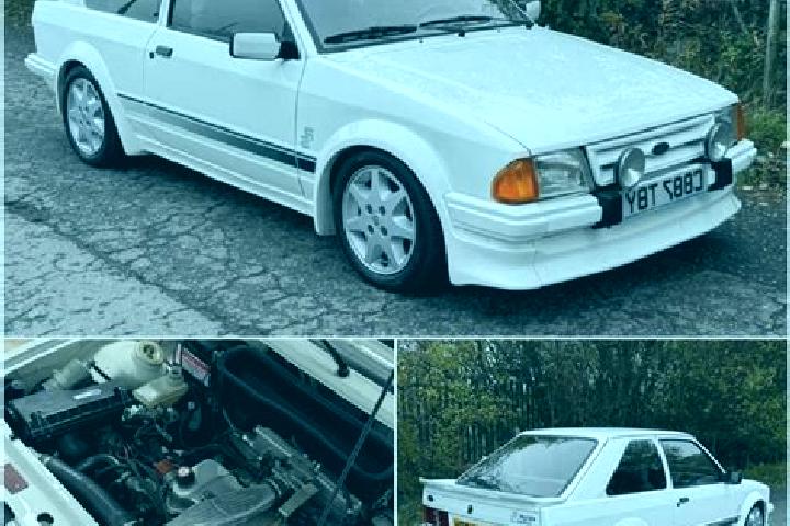 escort Rosalie