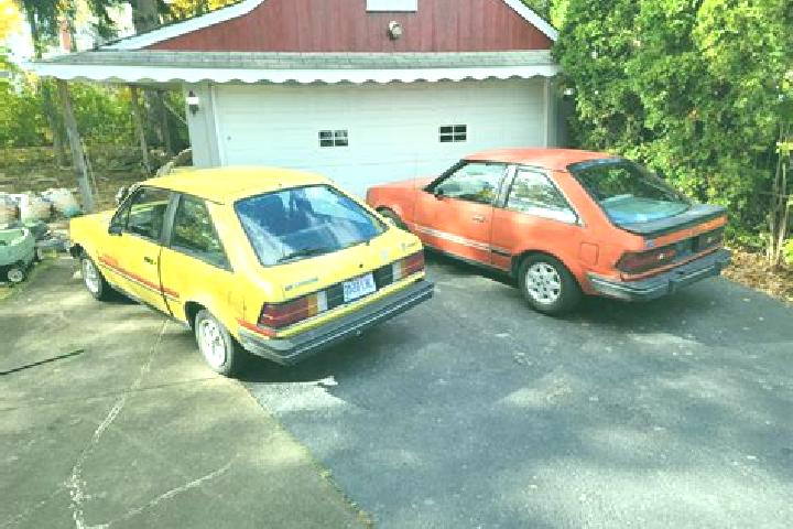escort Rosendale