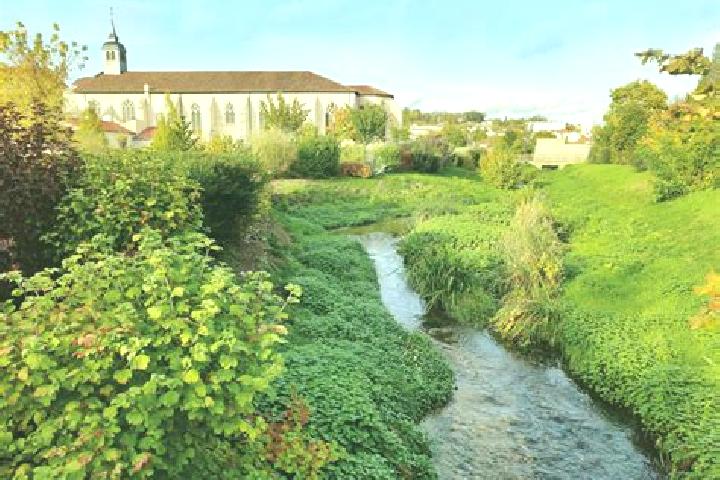 escort Rosieres-aux-Salines