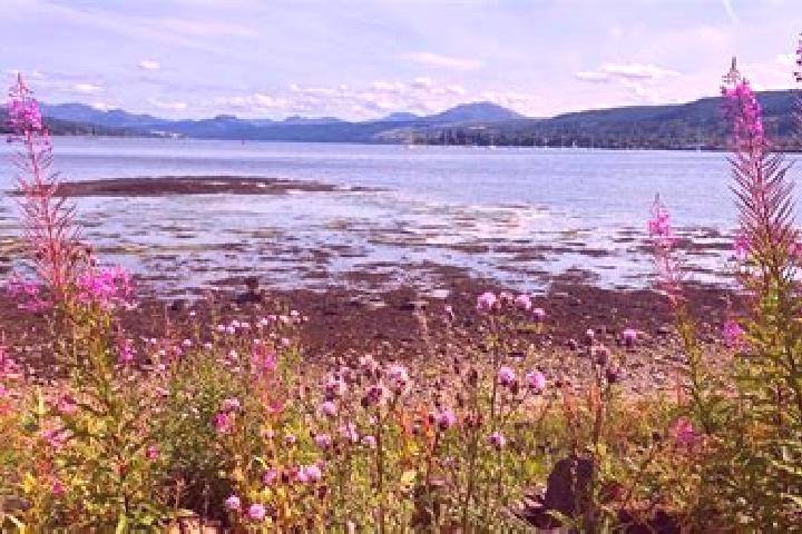 escort Rosneath