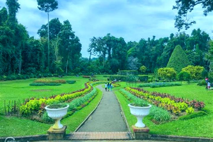 escort Royal Gardens
