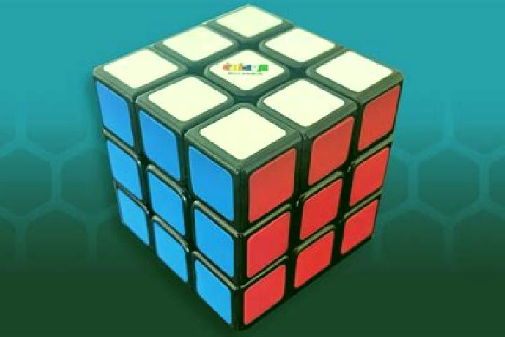 escort Rubik