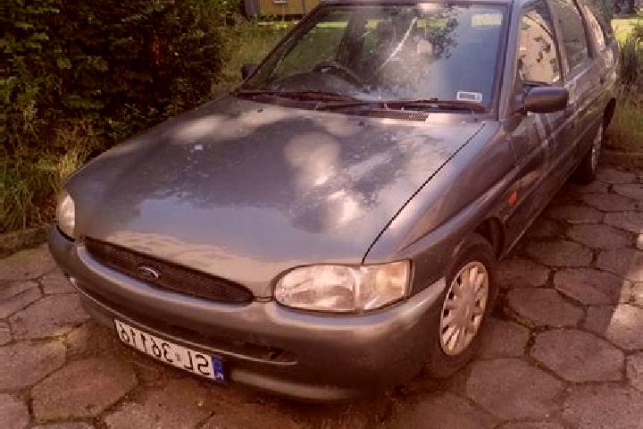 escort Ruda
