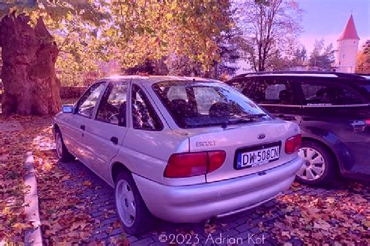 escort Rudavka