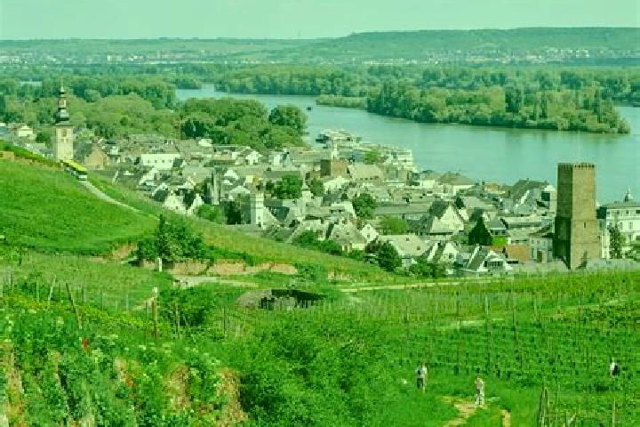 escort Ruedesheim am Rhein