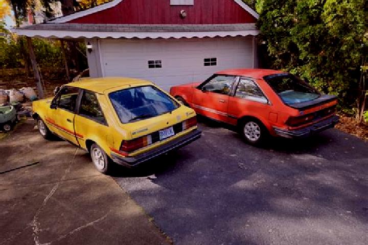 escort Rujiena